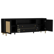 Arini - Rattan Cane 2-Door TV Stand Media Console - JaxCo Furniture