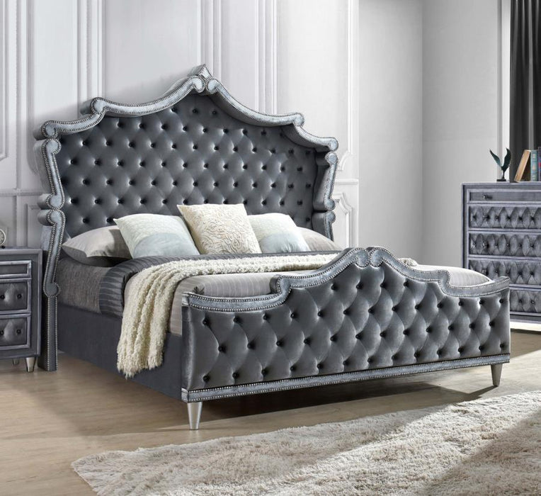 Antonella - Upholstered Panel Bed