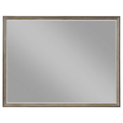Durango - Dresser Mirror - JaxCo Furniture