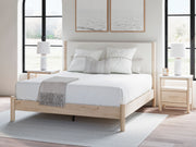 Cadmori - Upholstered Panel Bed - JaxCo Furniture