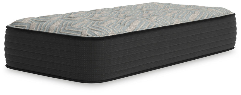 Palisades Firm - Mattress - JaxCo Furniture