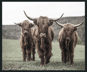 Highland - 48" x 72" Photography - Dark Brown - JaxCo Furniture