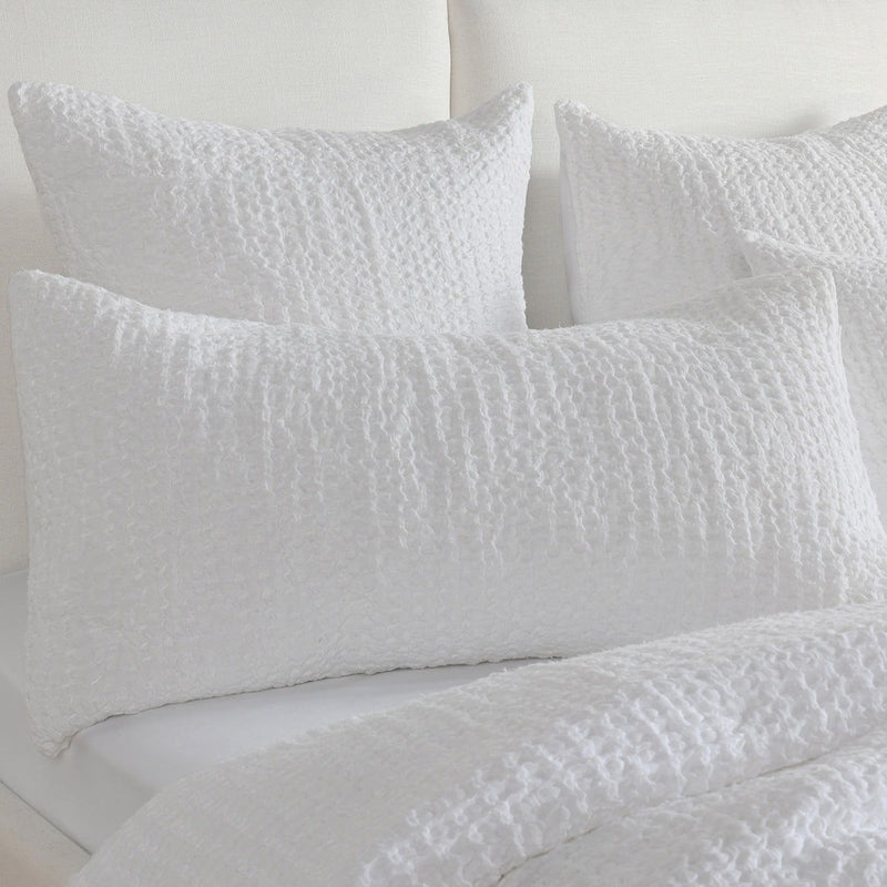 Colmar - Sham - JaxCo Furniture