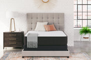 Limited Edition Firm - Mattress - JaxCo Furniture