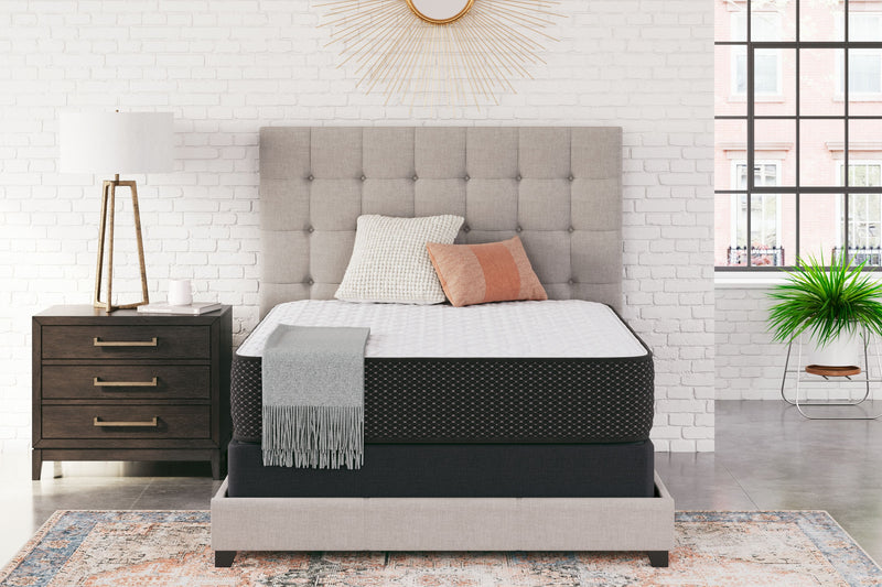 Limited Edition Firm - Mattress - JaxCo Furniture