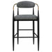 Tina - Metal Pub Height Bar Stool With Upholstered Back And Seat (Set of 2) - JaxCo Furniture