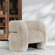 Teddy - Plush Accent Chair - JaxCo Furniture
