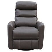 Hercules - Swivel Glider Recliner (Set of 2) - JaxCo Furniture