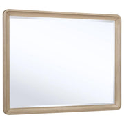 Ladera - Dresser Mirror - Light Elm - JaxCo Furniture