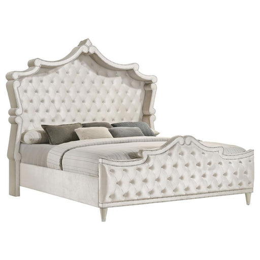 Antonella - Bedroom Set - JaxCo Furniture