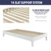 Nix - Platform Bed - JaxCo Furniture