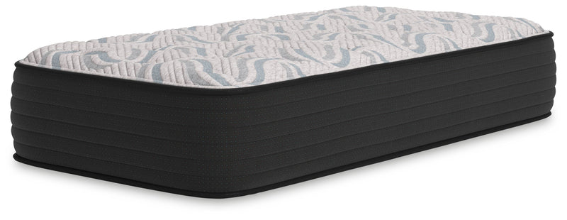 Elite Springs Firm - Mattress - JaxCo Furniture