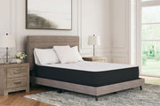 Limited Edition Plush - Mattress - JaxCo Furniture