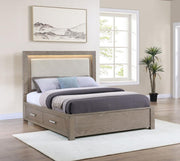 Kenora - LED Storage Bed - JaxCo Furniture