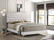 Kendall - Panel Upholstered Bed - JaxCo Furniture