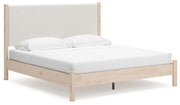 Cadmori - Upholstered Panel Bed - JaxCo Furniture