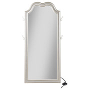 Evangeline - Full Length LED Light Floor Mirror - Silver Oak - JaxCo Furniture