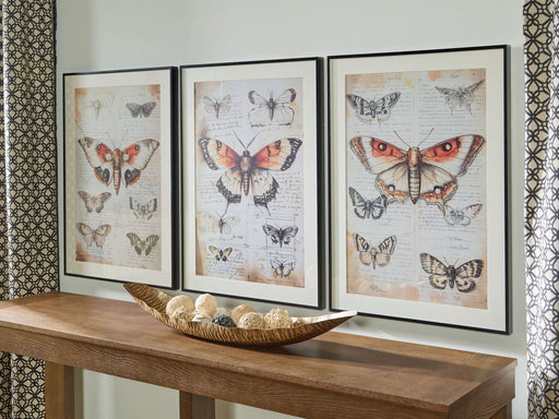 Jossletts - Orange / Black / Ivory - Wall Art Set (Set of 3) - JaxCo Furniture