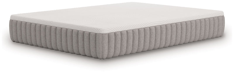 Terra Sleep Firm - Mattress - JaxCo Furniture