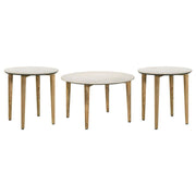 Aldis - Coffee And End Table Set - JaxCo Furniture