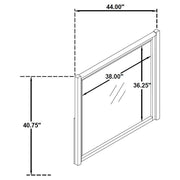 Leandro - Dresser Mirror - Burnished Black - JaxCo Furniture