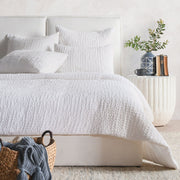 Colmar - Sham - JaxCo Furniture