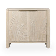 Ledro - 2 Door Cabinet - JaxCo Furniture