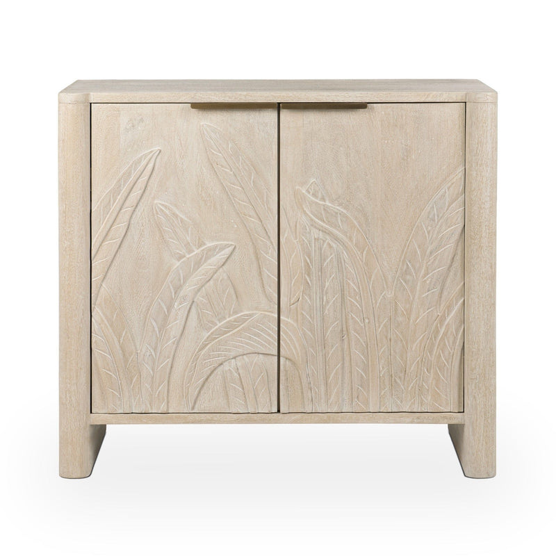 Ledro - 2 Door Cabinet - JaxCo Furniture