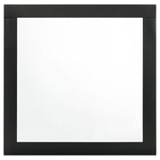 Caraway - Dresser Mirror - JaxCo Furniture