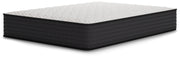 Limited Edition Firm - Mattress - JaxCo Furniture