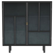 Dalia - 2 Door Accent Storage Cabinet With Shelving - Black - JaxCo Furniture