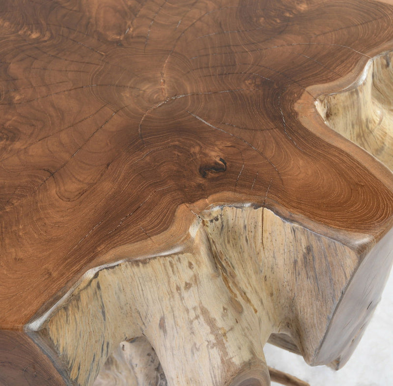 Groot - End Table - Natural - JaxCo Furniture