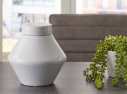 Domina - Large Jar - JaxCo Furniture