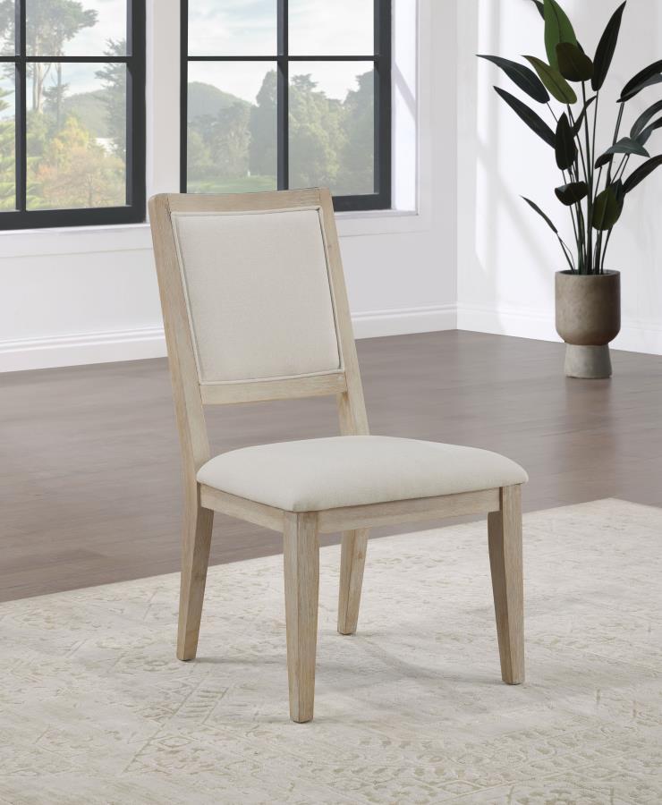 Trofello - Cushioned Dining Side Chair (Set of 2) - White Washed - JaxCo Furniture