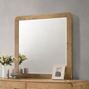 Robyn - Dresser Mirror - JaxCo Furniture