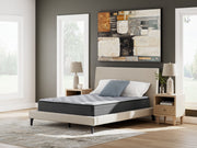 Comfort Plus - Mattress - JaxCo Furniture