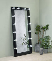 Zayan - Length Floor Mirror With Lighting - JaxCo Furniture