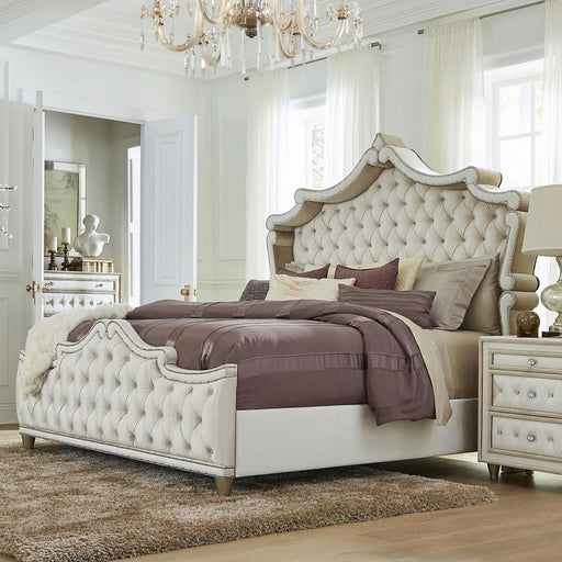 Antonella - Upholstered Panel Bed - JaxCo Furniture