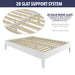 Nix - Platform Bed - JaxCo Furniture