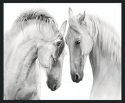 White - 48" x 72" Horses Photography - Gray - JaxCo Furniture