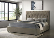 Delsea - Upholstered Platform Bed - JaxCo Furniture