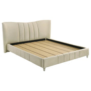 Evelyn - Upholstered Panel Platform Bed - JaxCo Furniture