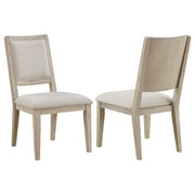 Trofello - Cushioned Dining Side Chair (Set of 2) - White Washed - JaxCo Furniture