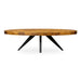 Parq - Oval Coffee Table - Brown - JaxCo Furniture