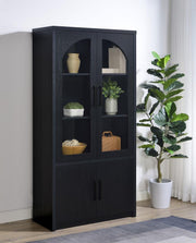 Riva - 4-Door Tall Accent Display Cabinet LED Lighting - Black - JaxCo Furniture
