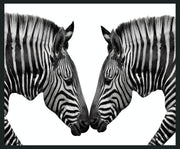 Zebras - 48" x 72" Photography - Black / White - JaxCo Furniture