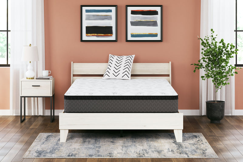 12 Inch Pocketed Hybrid - Mattress - JaxCo Furniture