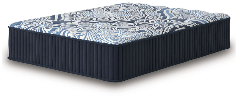 Firm Luxe 2.0 - Mattress - JaxCo Furniture