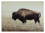 Brutus - Sepia - Wall Art - JaxCo Furniture