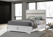Miranda - Upholstered Panel Bed - JaxCo Furniture
